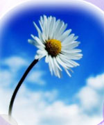 当たることで有名な光太郎のプロフィールと口コミが掲載されています。