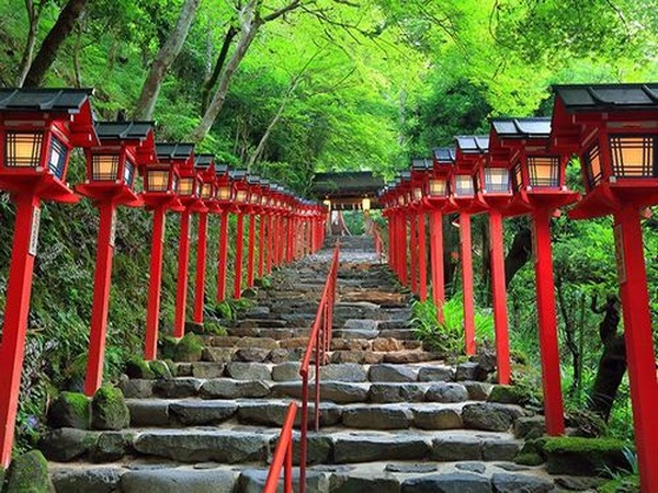 縁結びの由来を感じさせる神社の石段と赤い灯籠
