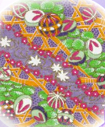 当たることで有名な和花のプロフィールと口コミが掲載されています。